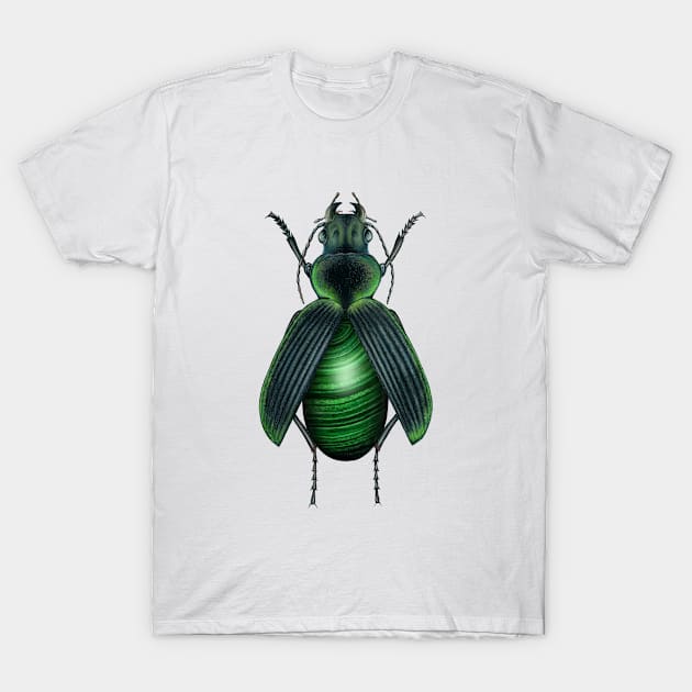 Malachite Beetle T-Shirt by illucalliart